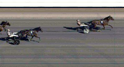 Nørlem-opdræt vandt 250.000 kroner