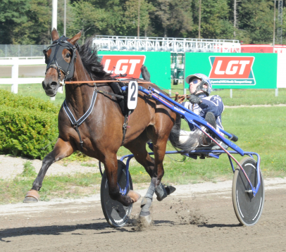 Aarhus: Lipa Wee var i særklasse