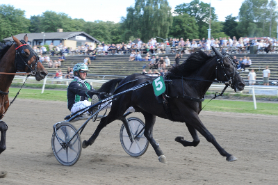 Startlister – Jydsk 3-årings Grand Prix/Hoppe Grand Prix