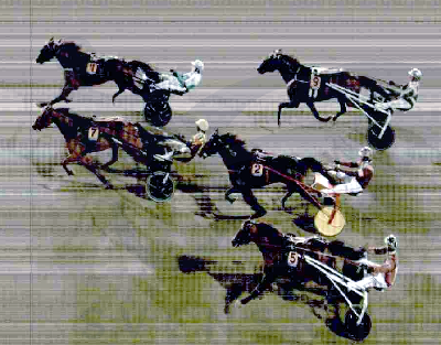 To danskfødte heste i det svenske Derby