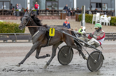 Maximus Mosebo – dansk i 10. generationer