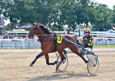 Onsdag – Lunden: Kvalifikation til Opdrætningsløbet