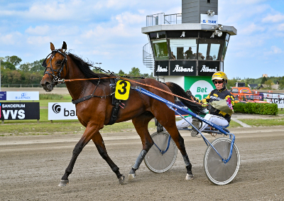 Blot 20 anmeldelser til Jydsk 2-årings Grand Prix