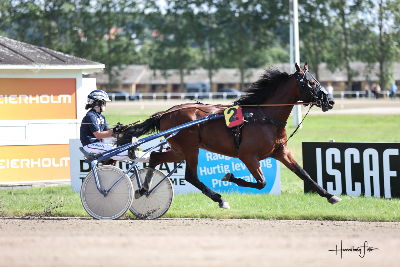 Har Gordon Dahl endnu en kanon 2-åring i stalden?