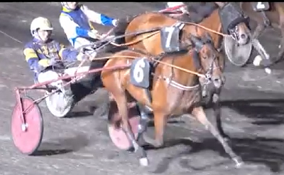 Dansk 2-åring vandt i Italien