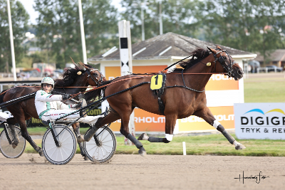 Dansk V65: De fleste jackpotpenge gik til udlandet