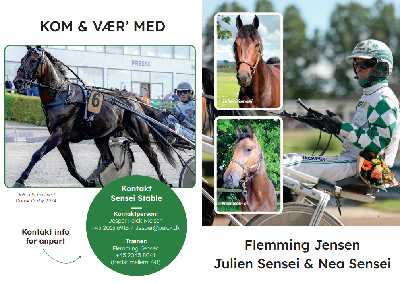 Nyt anpartsprojekt hos Flemming Jensen