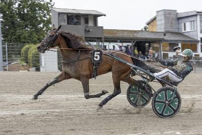 Korfitsen har fået gang i stalden