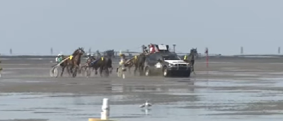 12.000 til trav- og galop i Tyskland