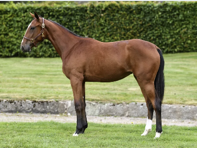 Åby: Solgte lillesøster til Hardcore for 550.000 SEK