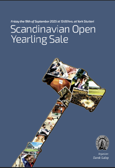 Dansk Galops åringsauktion i eftermiddag