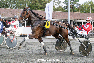 Ny stor aften for Mads Petersen