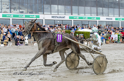 Størst interesse for Golden CN