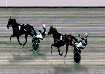 High Five sejrede i første start for ny træner