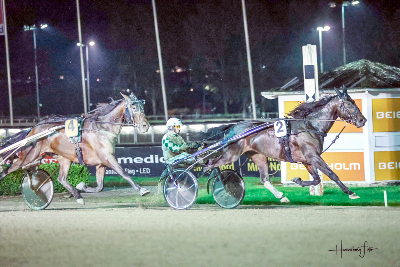 Stærkt felt i Koster Memorial