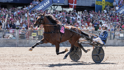 Idao de Tillard til  Solvalla