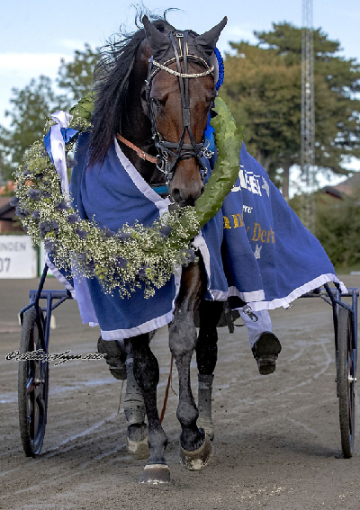 Danske heste hædret på Jägersros Trav-Galla