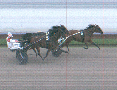 Sjunnesson fik ikke medhold