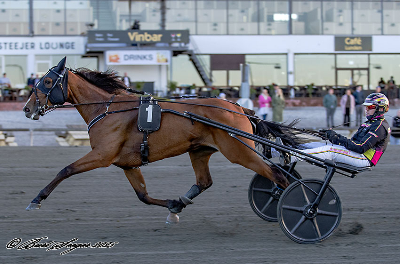 Bet25 Sport: Lust for Life favorit i såvel Kriterium som Derby