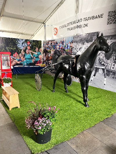 Travsporten viste sig frem på Store Hestedag
