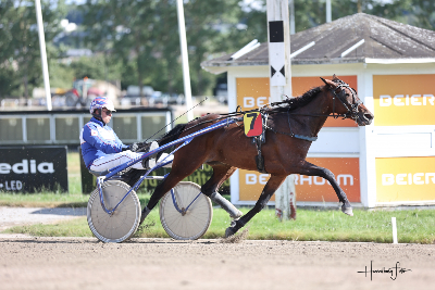 2-åringer i testløb før Grand Prix