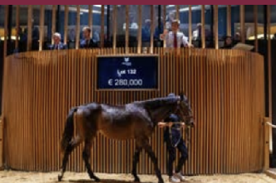 Deauville: Karin Walter-Mommert købte den dyreste åring