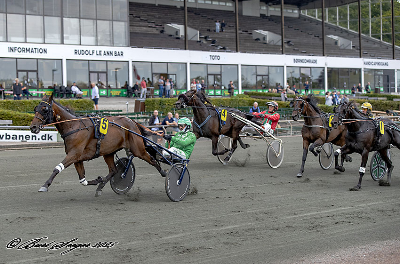 V65-Lunden: Mindre overraskelser gav ny jackpot