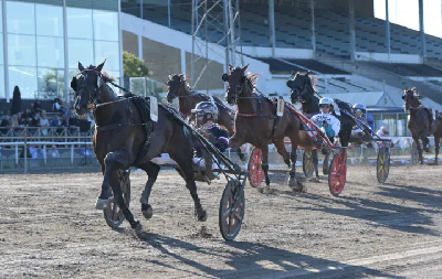 V75: Bet25-spiller vandt 180.000 kroner på LynHest