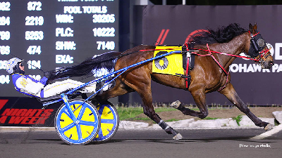 VM-Løbet: Fransk traver ud – amerikansk ind