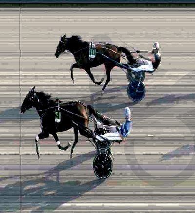 Spændende tysk hest købt til Danmark