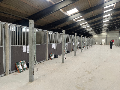 Aalborg-auktionen: Udgåede åringer lørdag morgen