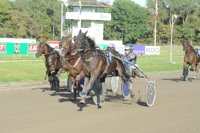 ATAKs Fødselsdagsløb: To kuske dobbelt-kvalificerede sig