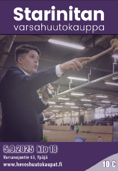 Finsk åringsauktion på Travera