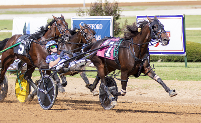 Lexington: Go Dog Go – nu verdens hurtigste 3-åring i 2025