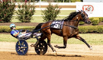 Kostede 800.000 dollars som åring – hvad koster den nu?