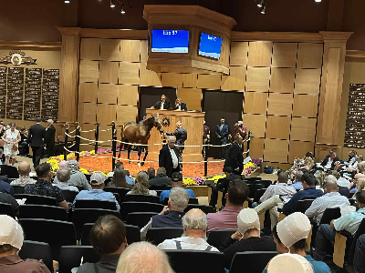 Lexington: En dag på auktionen i plus