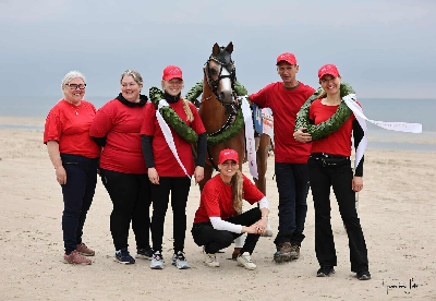 En succes lægges i graven