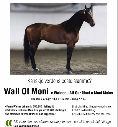 Bedækninger 2025: Walner-søn mest populær i Norge