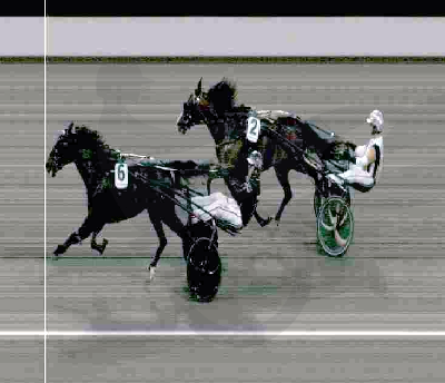 Wise Guy slået til andenplads