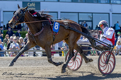 Fly Equos Jet købt til Danmark