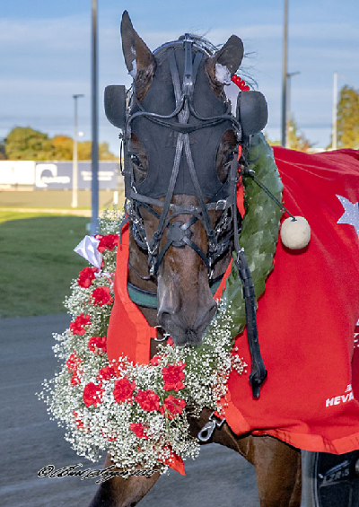 Alle burde have en Frodo Cash!