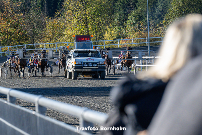 Bornholm: Dommerkomiteen havde meget travlt