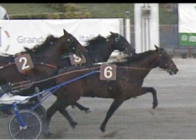 Jigger – nu i Frankrig