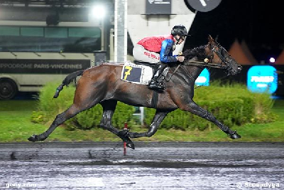 Just a Lady vandt montédebut på Vincennes