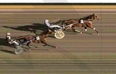 Massestyrt i svensk travløb.