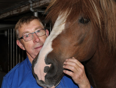 Skal din hest aflives?