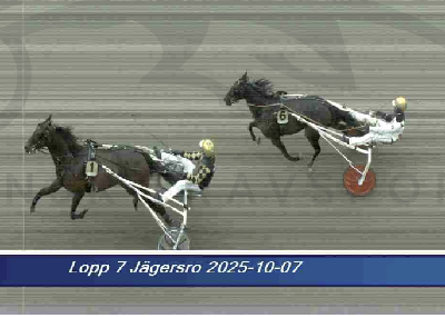 Jägersro, tirsdag: Stor dansk eftermiddag