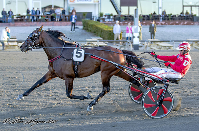 UET Grand Prix 2026: Blot fem danske tilmeldt