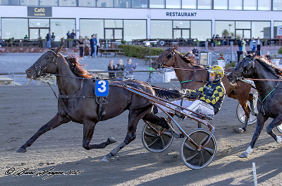 En afglans af Breeders Crown