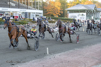 Følg Lust for Life i aften